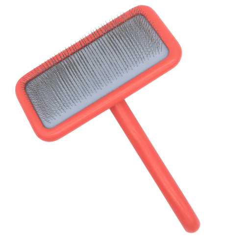 ブランディング KUMA